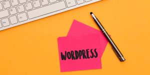 Read more about the article WordPress Website Redesign Checklist: Protect SEO and Leads